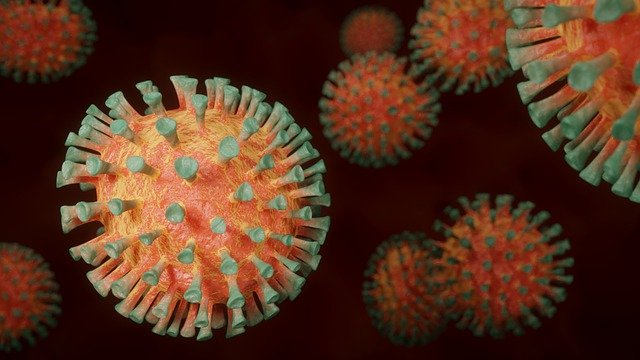 koronavirus buňky