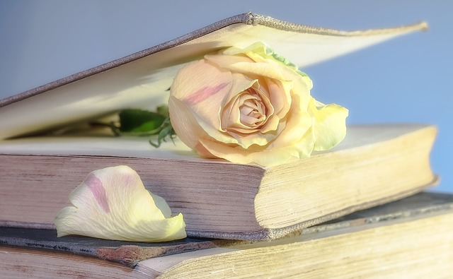 kniha a růže